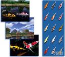 Koi 3D Screensaver ������� ���������