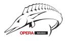 Opera Next 12.00 Build 1060 Portable  