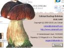 Cobian Backup 10.0.3.743  