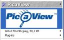 PicaView 2.0 (Eng+Rus)  