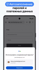 Google Chrome 127.0.6533 Android  