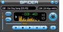 Spider Player Basic 2.1  