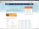 Mozilla Firefox 3.5.1 Final скачать бесплатно