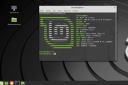 Linux Mint 19.1 Tessa  