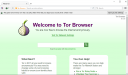 Tor Browser 11.0.1  