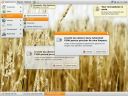 ubuntu-8.04.1-desktop-i386  